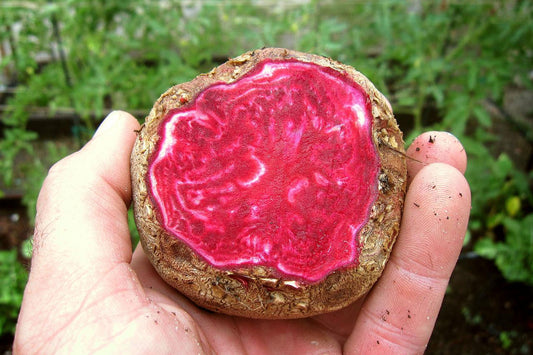 Color us natural: Beets.
