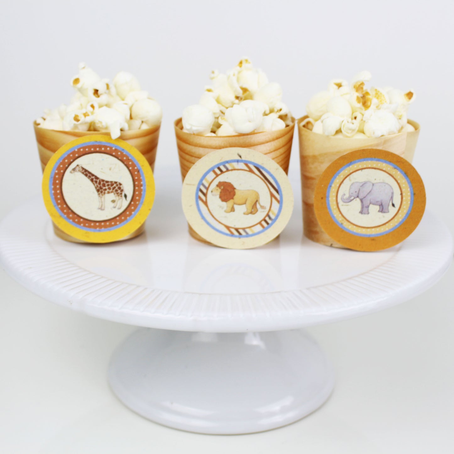 Baby Safari 2-inch Themed Tags, Circle (Tree Free Banana Paper!) - 12 per pack