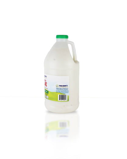 Organic Non Toxic Glue (1/2 Gallon)
